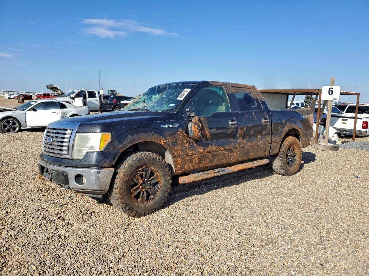 2010 FORD F-150