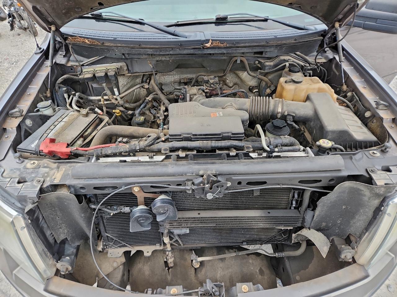 2010 FORD F-150
