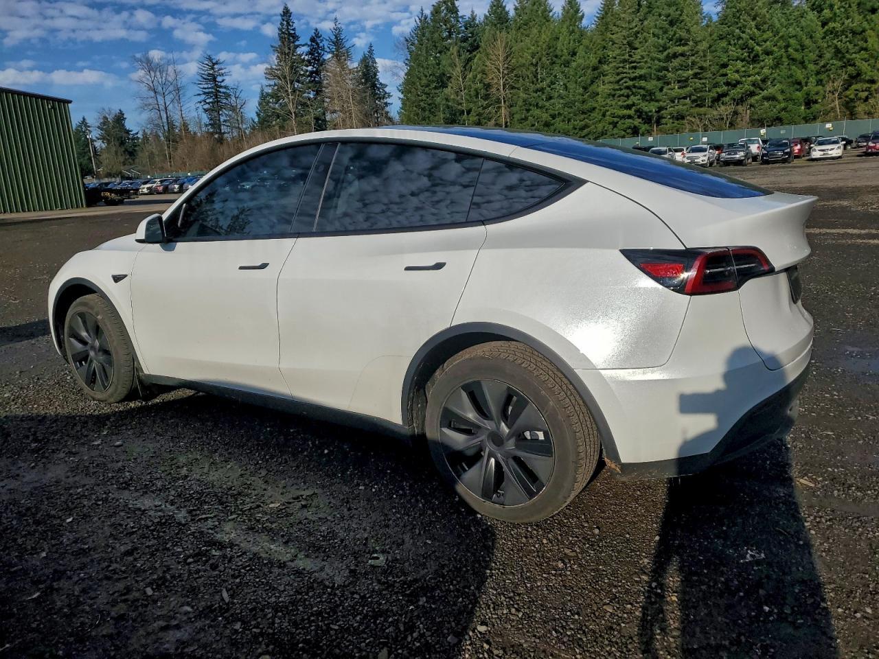 2025 TESLA MODEL Y
