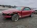 2006 FORD MUSTANG