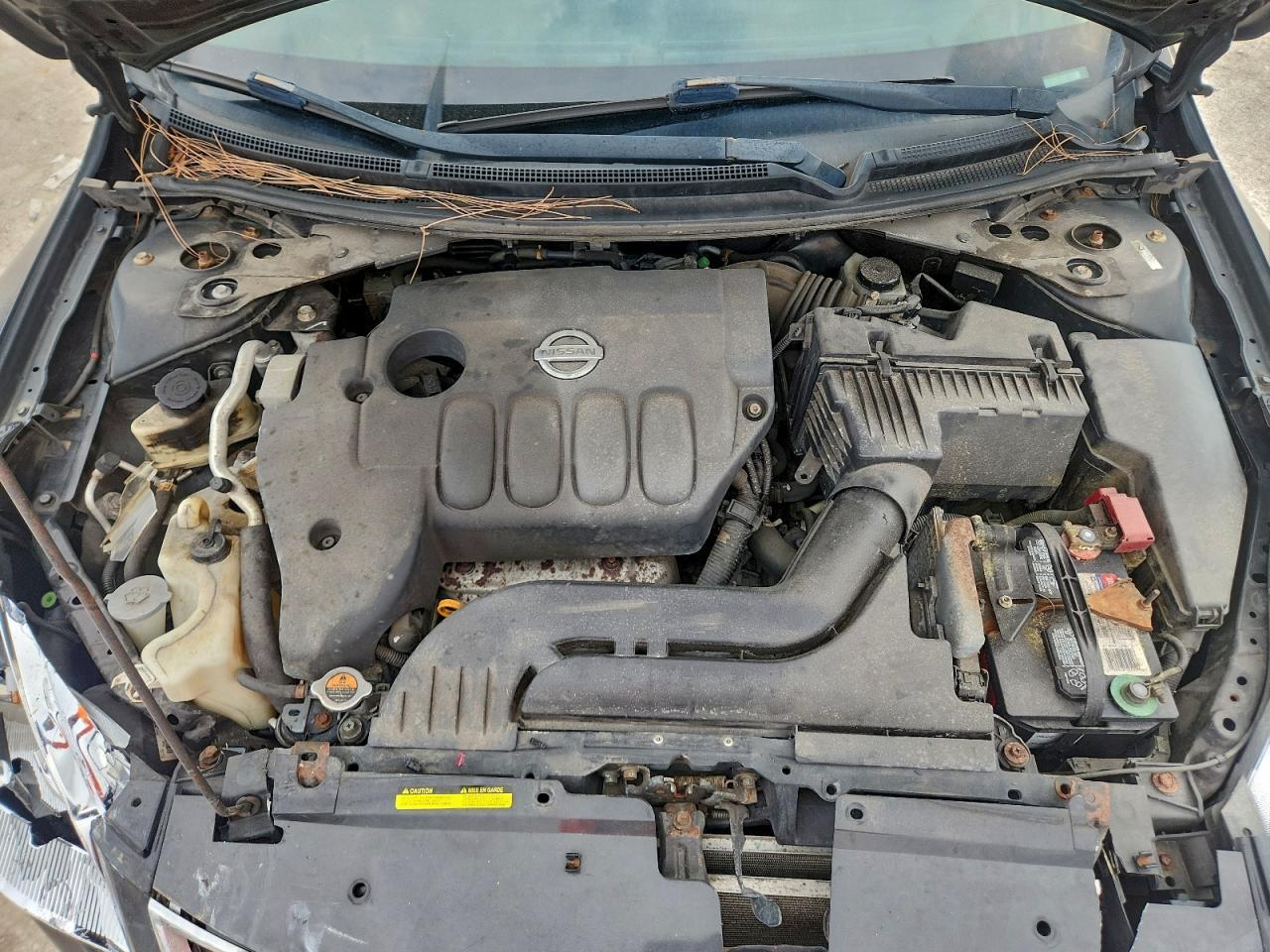 2010 NISSAN ALTIMA