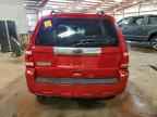 2010 FORD ESCAPE