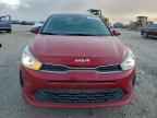 2023 KIA RIO