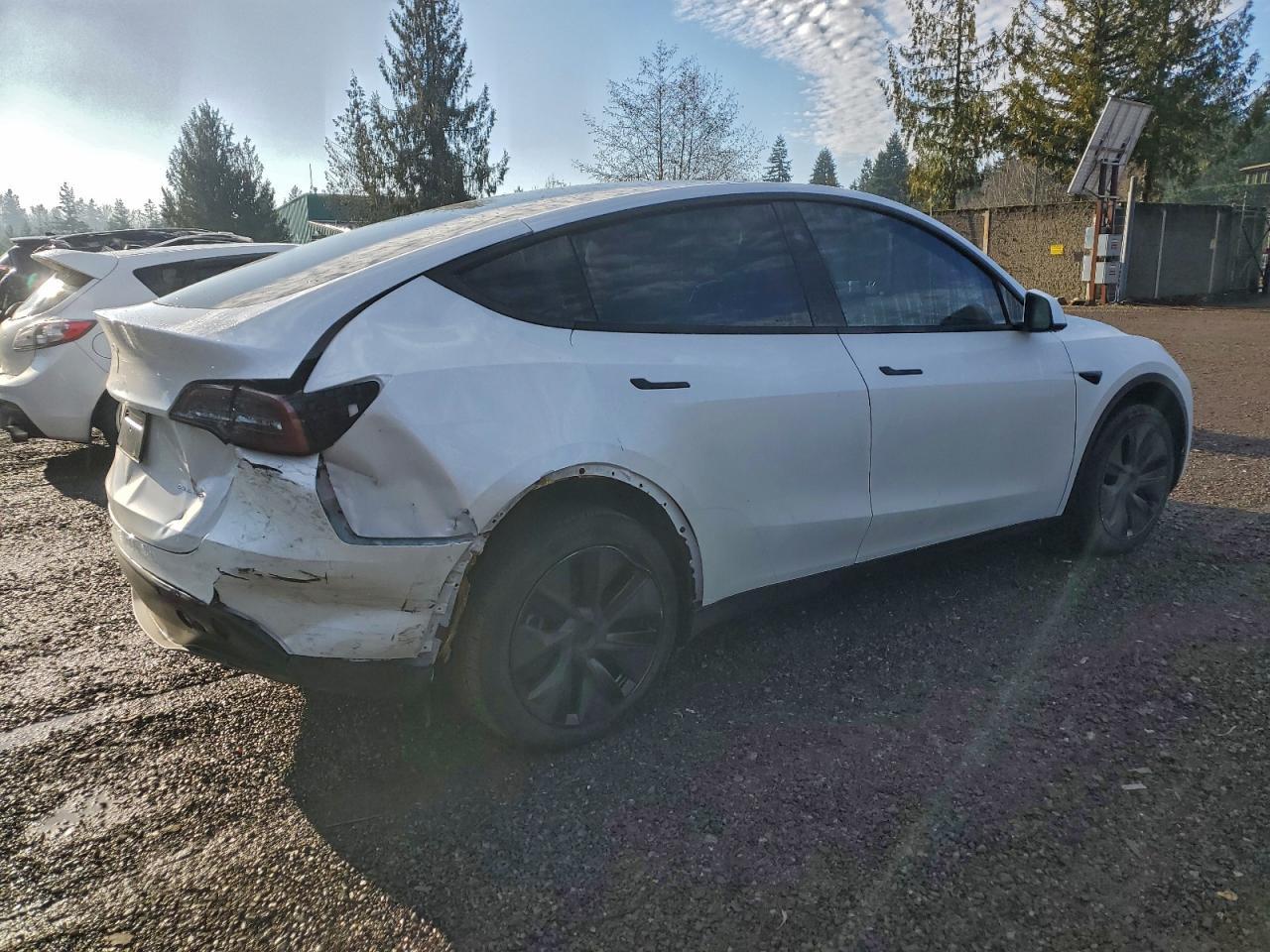 2025 TESLA MODEL Y