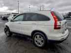 2010 HONDA CR-V