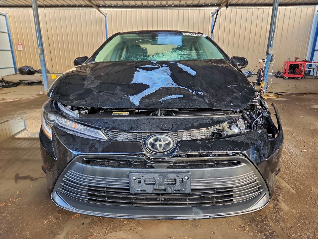 2025 TOYOTA COROLLA