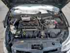 2009 FORD FOCUS