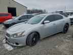 2014 NISSAN Maxima