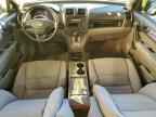 2010 HONDA CR-V