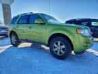 2011 FORD Escape Hybrid