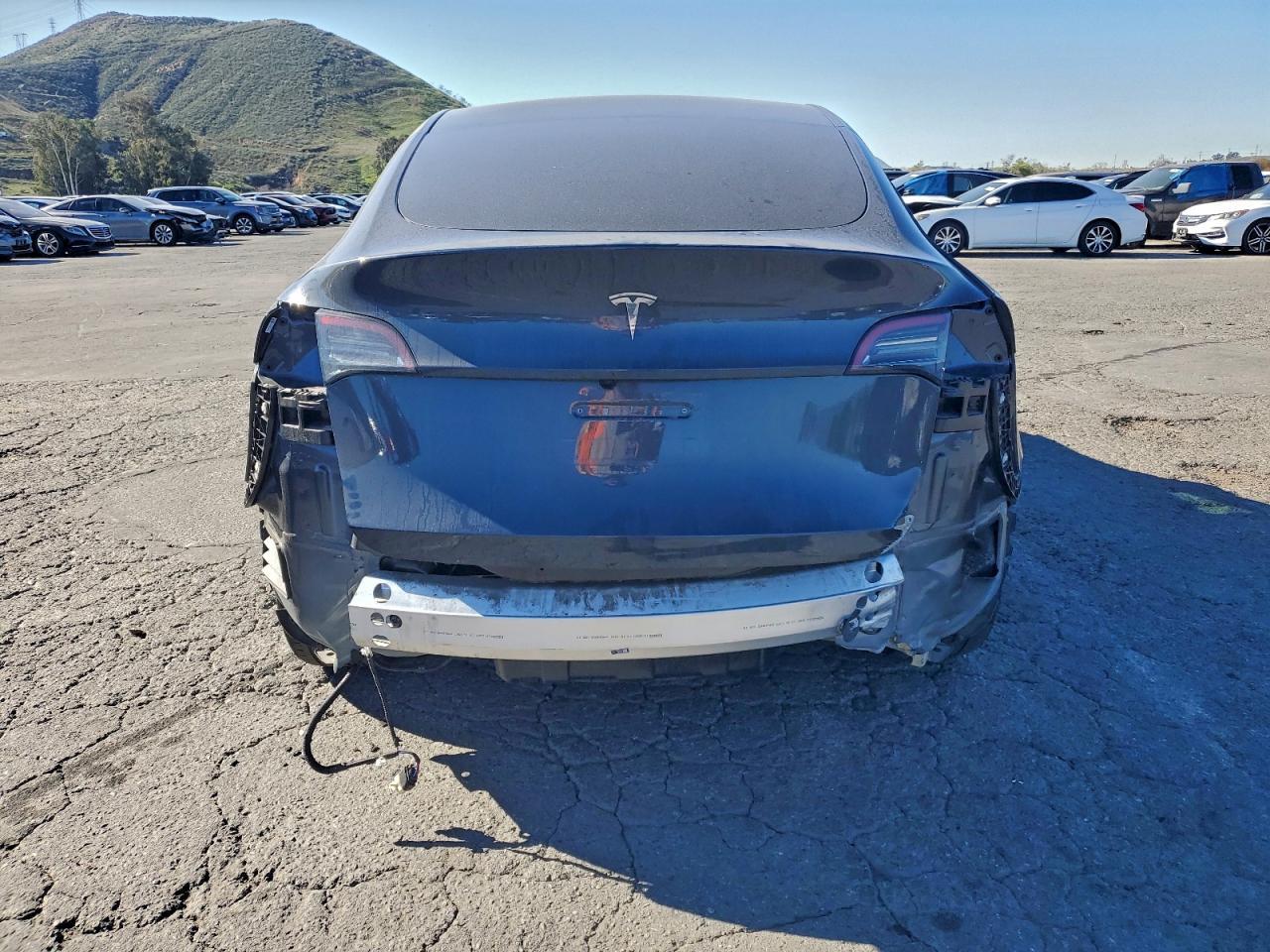2025 TESLA MODEL Y