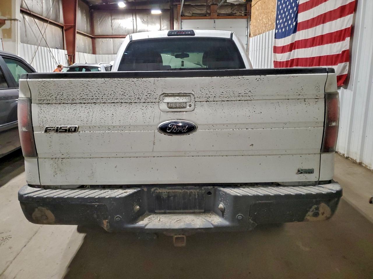 2010 FORD F-150