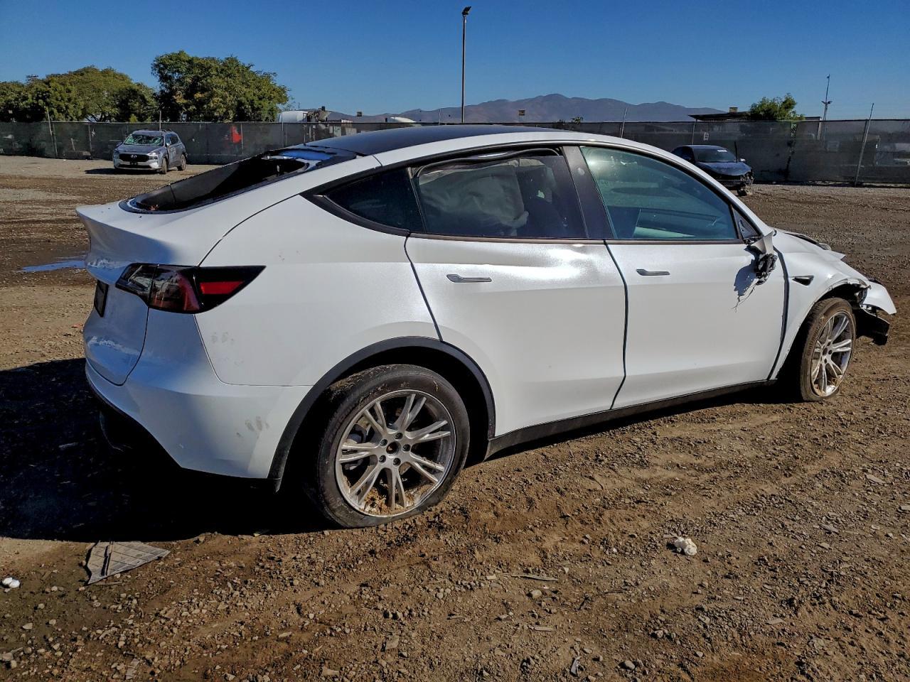 2024 TESLA MODEL Y