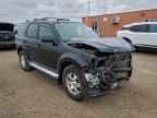 2009 FORD ESCAPE