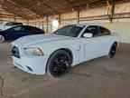 2013 DODGE CHARGER