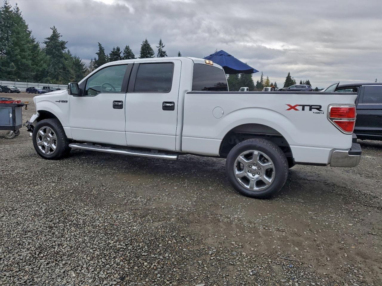 2013 FORD F-150
