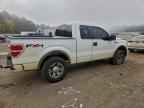 2009 FORD F-150