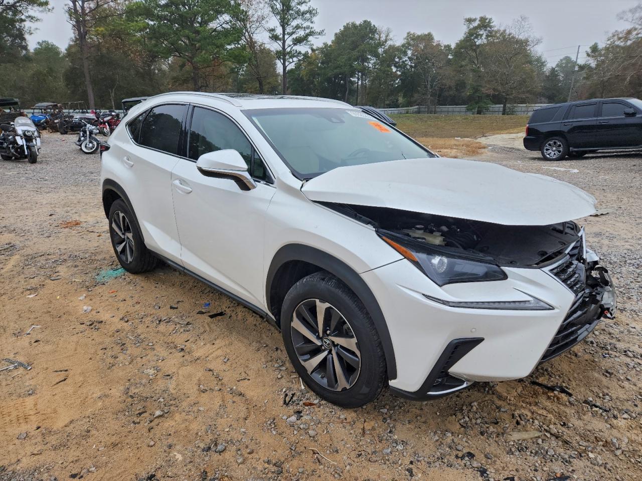 2018 LEXUS NX 300
