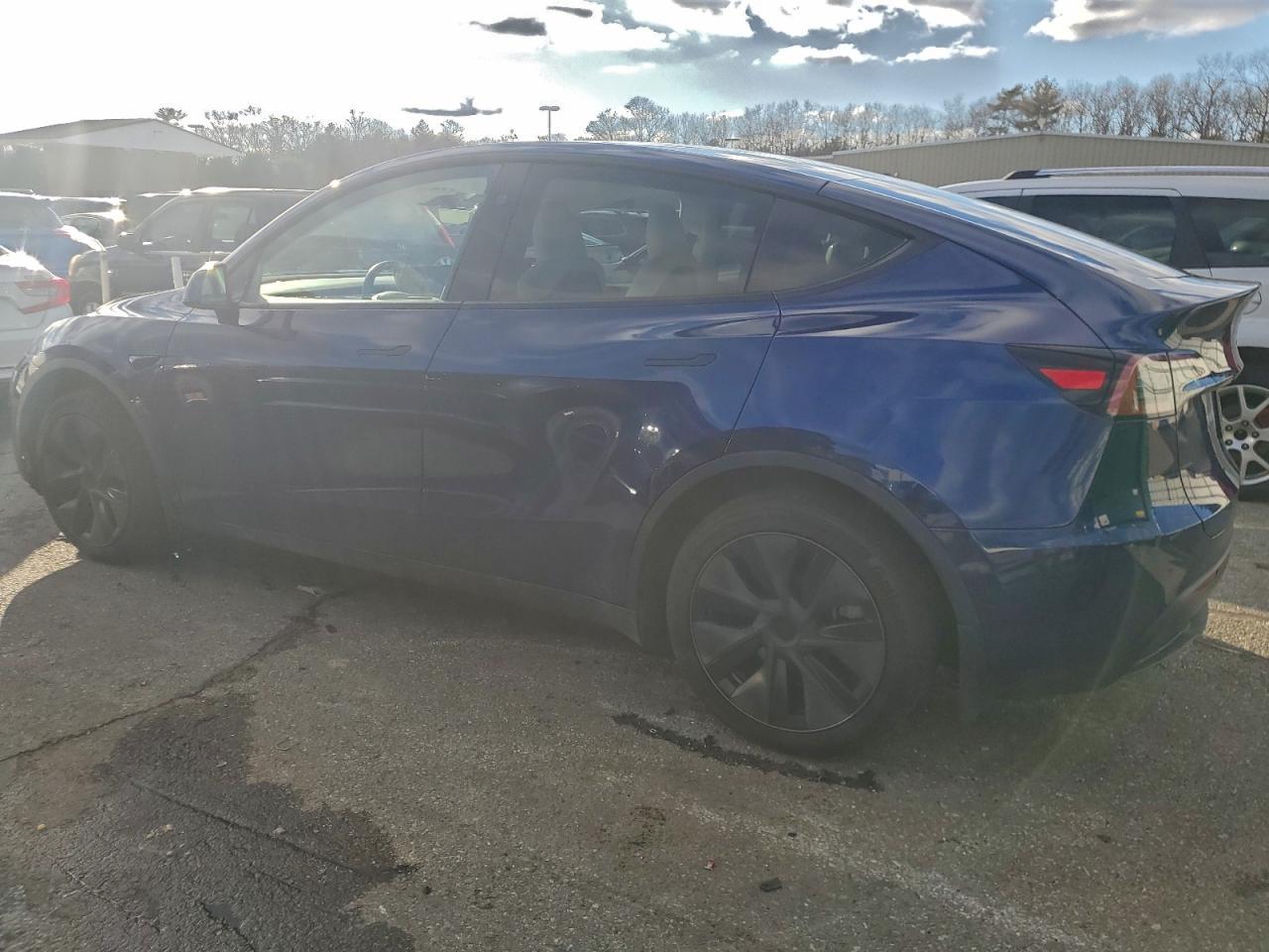 2025 TESLA MODEL Y