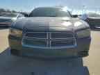 2014 DODGE CHARGER