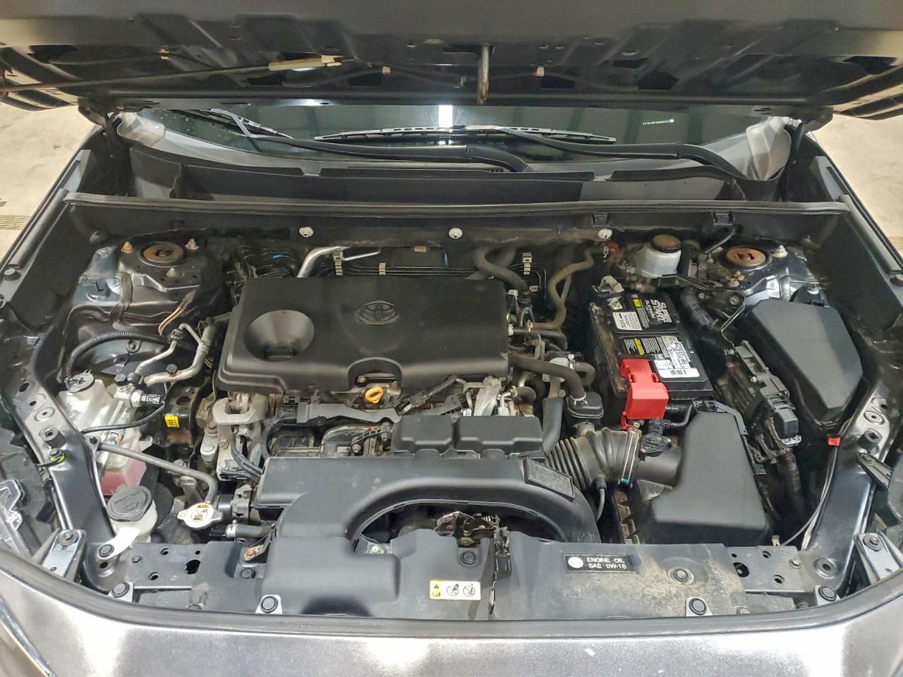 2019 TOYOTA RAV4