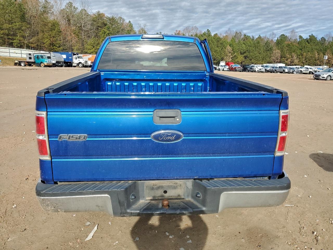 2010 FORD F-150