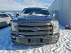 2017 FORD F-150 Lightning