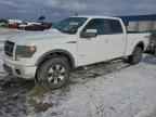 2014 FORD F-150 Lightning