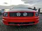 2005 FORD MUSTANG