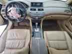 2009 HONDA ACCORD