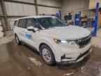 2024 KIA Carnival