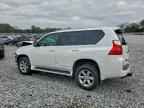 2012 LEXUS GX 460