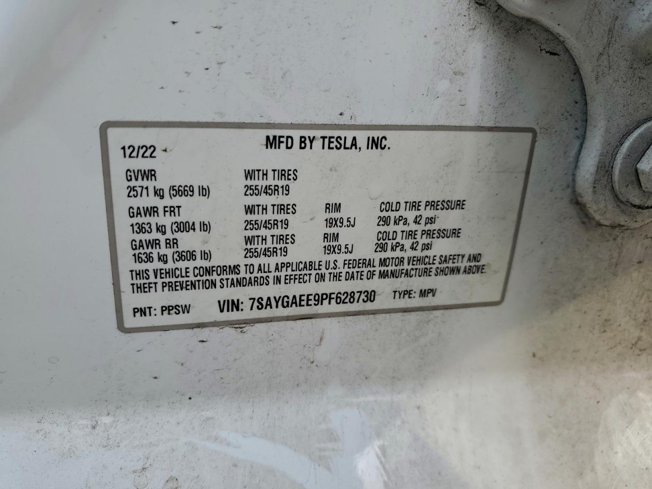 2026 TESLA MODEL Y