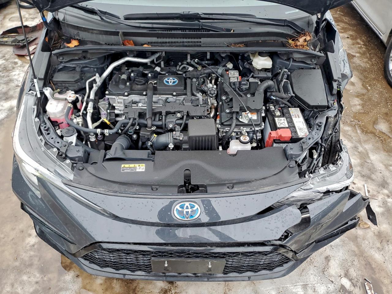 2024 TOYOTA COROLLA