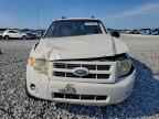 2011 FORD Escape Hybrid