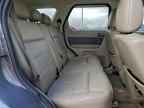 2009 FORD ESCAPE