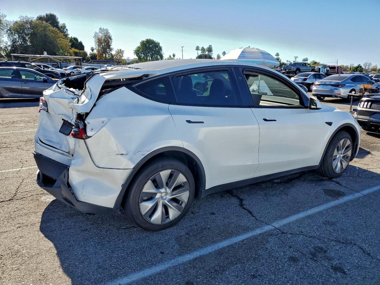 2024 TESLA MODEL Y