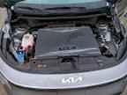2025 KIA Niro