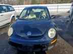2008 VOLKSWAGEN Beetle