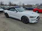 2023 FORD MUSTANG