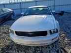 2005 FORD MUSTANG