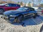 2023 FORD MUSTANG