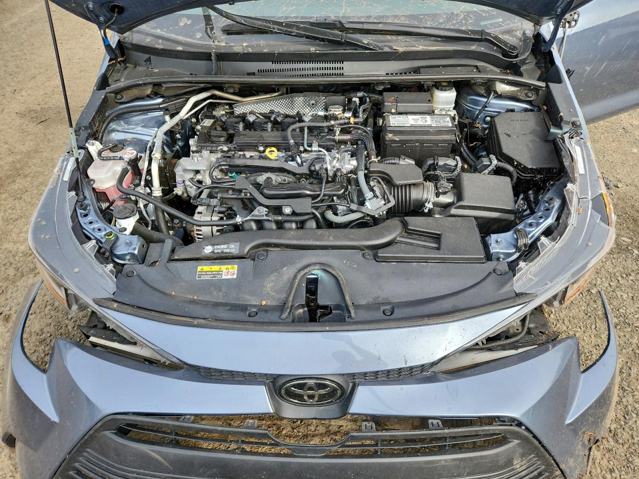 2023 TOYOTA COROLLA