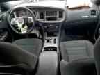 2013 DODGE CHARGER