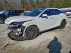 2023 LEXUS RX 350