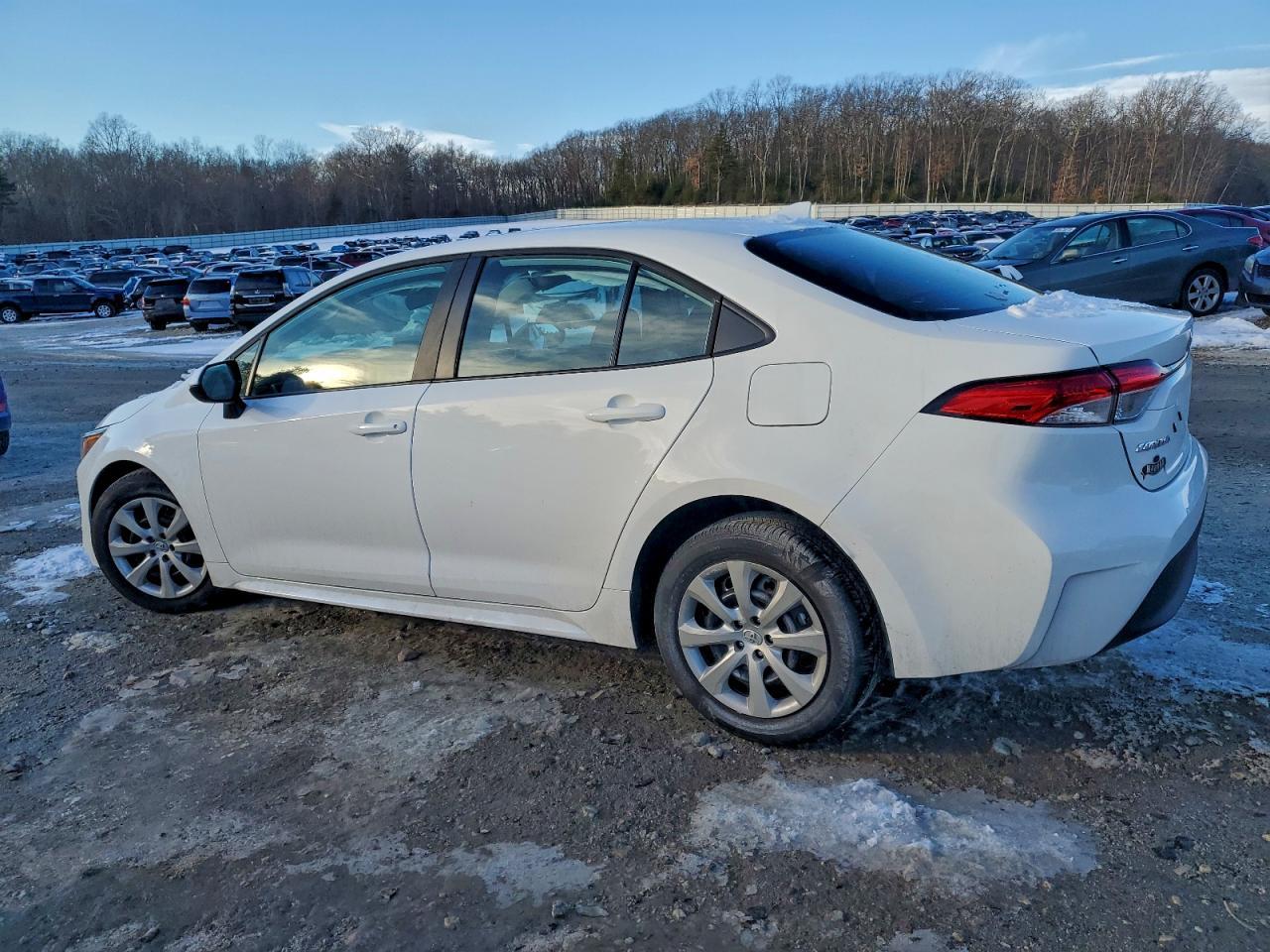 2026 TOYOTA COROLLA