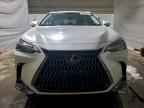 2025 LEXUS NX 350