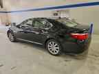 2007 LEXUS LS 460