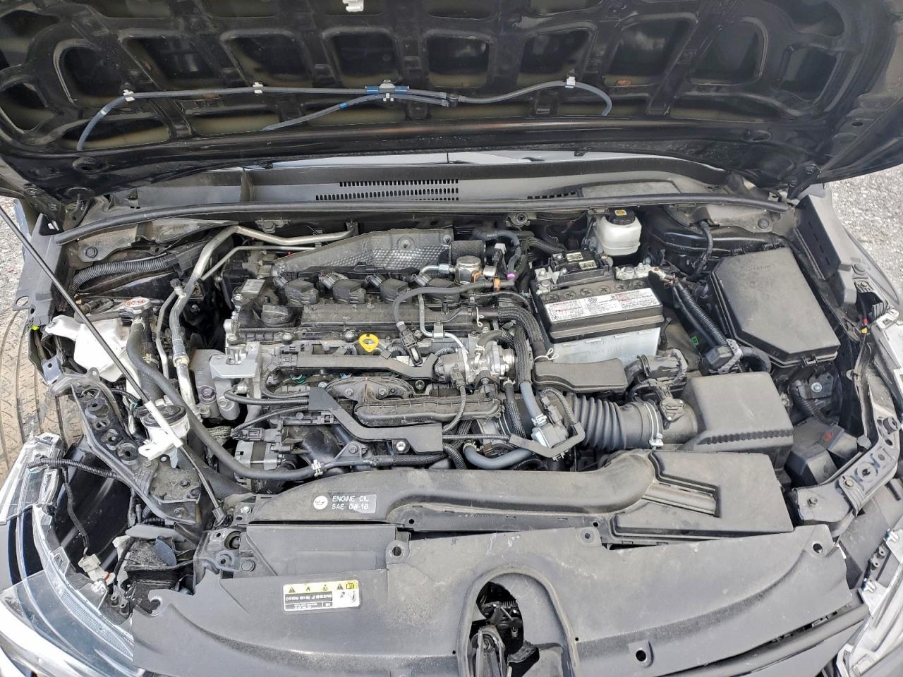 2023 TOYOTA COROLLA