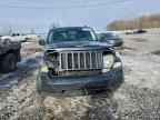 2010 JEEP Liberty